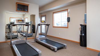 Meadow view | gym